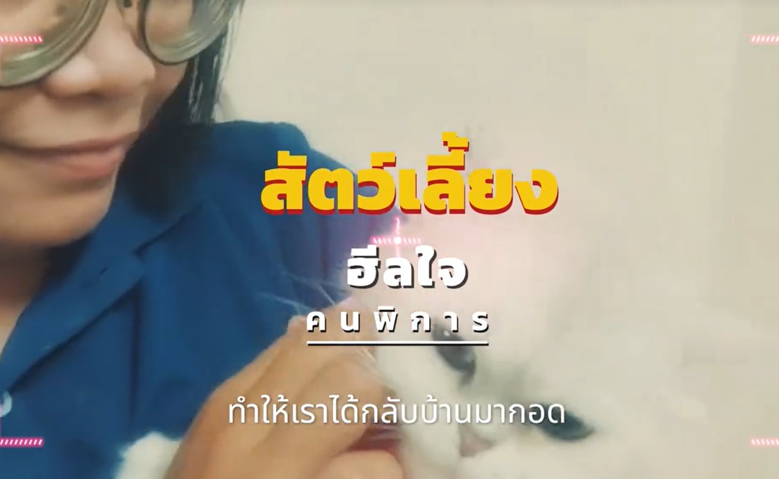 สัตว์เลี้ยงคอยเยียวยาจิตใจ #วันรักสัตว์เลี้ยงโลก